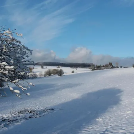 Modern With Private Garden *