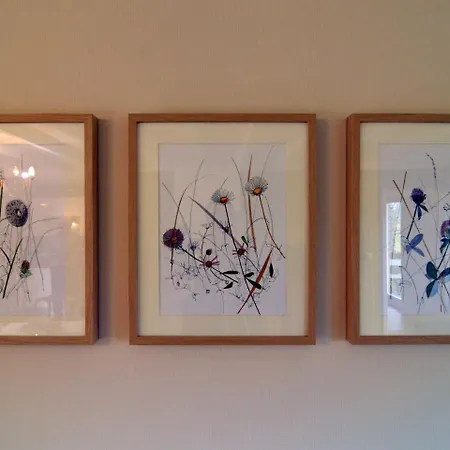 Modern With Private Garden Tenneville