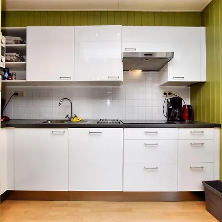 度假居 Modern With Private Garden 特纳维耶